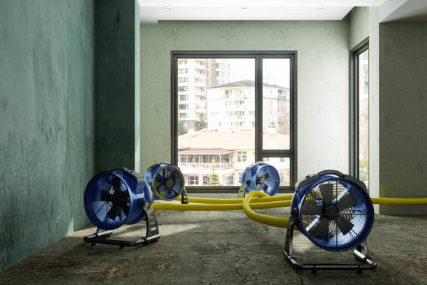 Best Flood restoration services  in Meadow Vale, KY