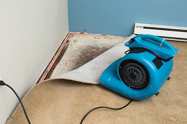 Best Water damage contractors near me  in Meadow Vale, KY